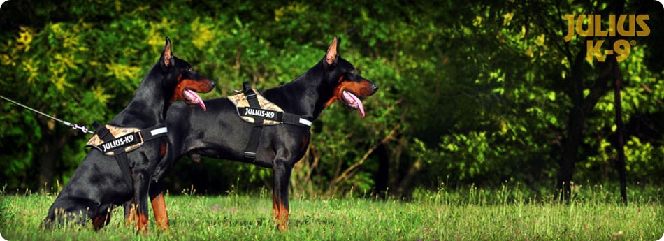 Julius K9